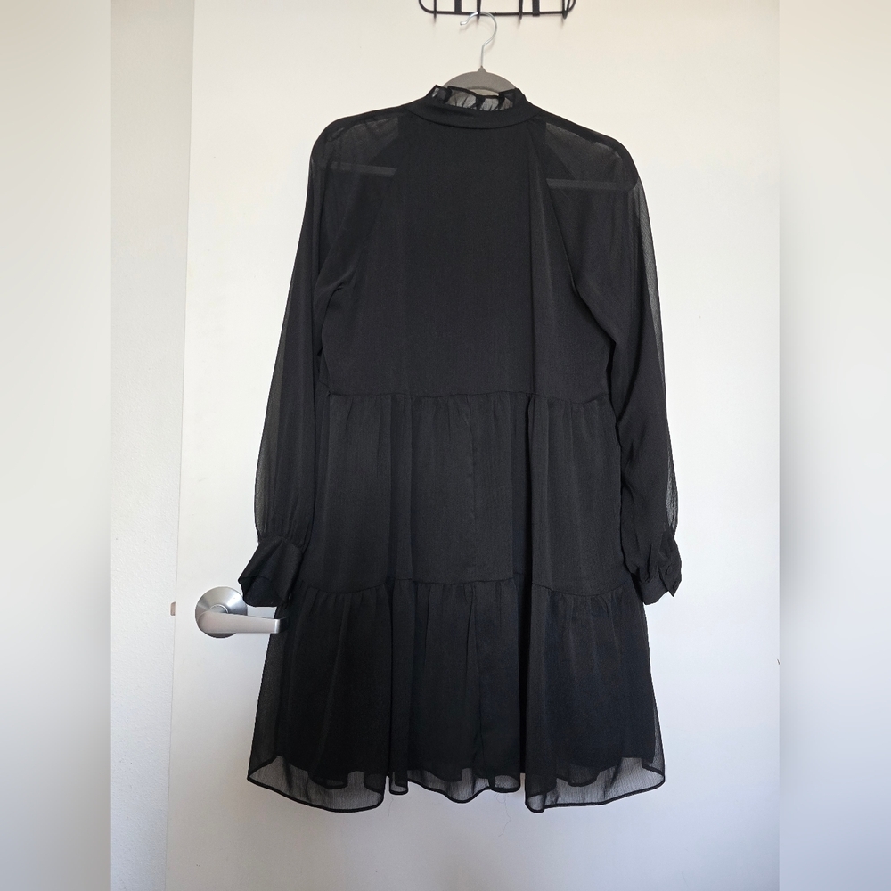 Elegant Black Chiffon Dress - Picture 6 of 8